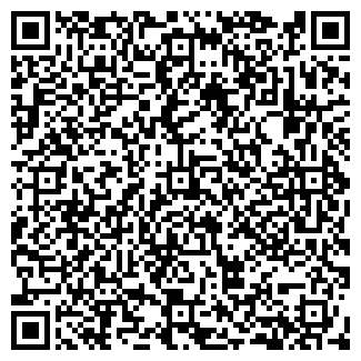 QR-код с контактной информацией организации ИП Субботин И.Г.