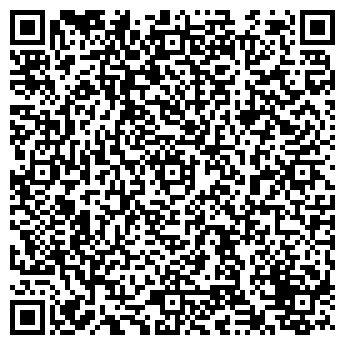 QR-код с контактной информацией организации Professional