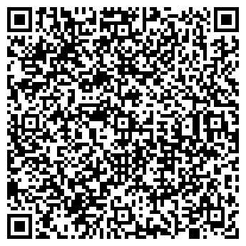 QR-код с контактной информацией организации ИП Бичевина Н.М.