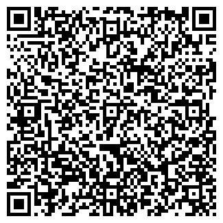 QR-код с контактной информацией организации БлинСити, сеть кафе