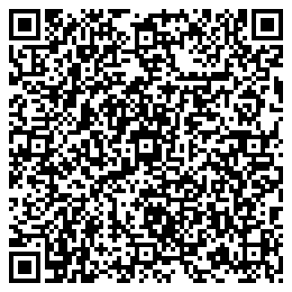 QR-код с контактной информацией организации БлинСити