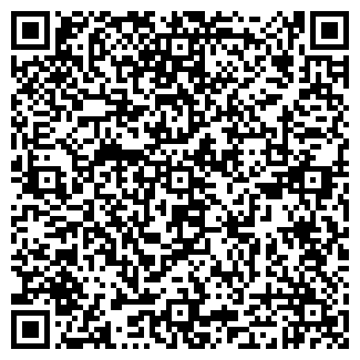 QR-код с контактной информацией организации Фишка