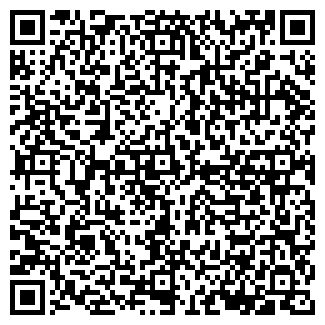 QR-код с контактной информацией организации ИП Алимова Г.А.