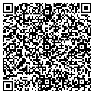 QR-код с контактной информацией организации Сковородовна, сеть блинных