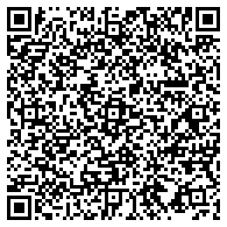 QR-код с контактной информацией организации Karin, ресторан