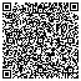 QR-код с контактной информацией организации ИП Королев В.В.