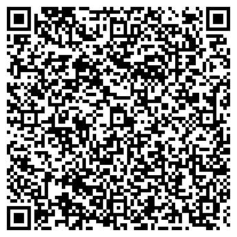 QR-код с контактной информацией организации ООО СТРОЙЭЛЕКТРОСЕРВИС