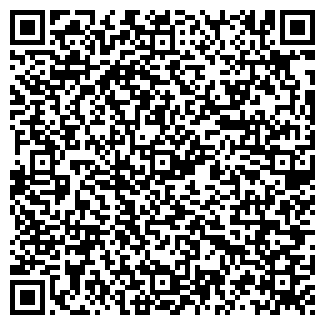 QR-код с контактной информацией организации Like