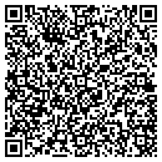 QR-код с контактной информацией организации Чушканзи