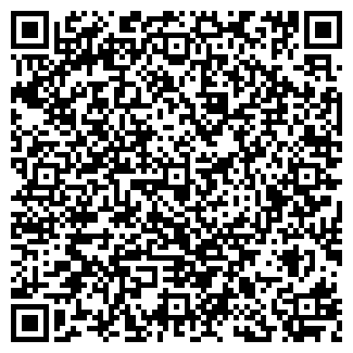 QR-код с контактной информацией организации Магазин.чик, магазин