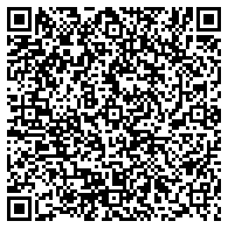 QR-код с контактной информацией организации ИП Баулин В.В.