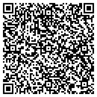 QR-код с контактной информацией организации ООО Ромашка