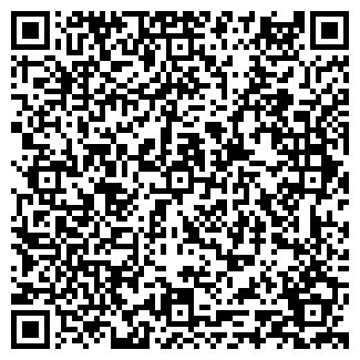 QR-код с контактной информацией организации ИП Биринина Н.А.