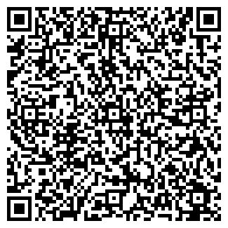 QR-код с контактной информацией организации Maclise