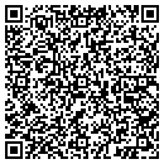 QR-код с контактной информацией организации Чайка