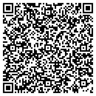 QR-код с контактной информацией организации Ёлка
