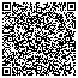 QR-код с контактной информацией организации Nice