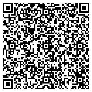 QR-код с контактной информацией организации ИП Ким С.И.