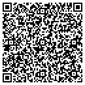 QR-код с контактной информацией организации Фотокартина Миасс