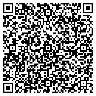 QR-код с контактной информацией организации Пингвин, магазин продуктов