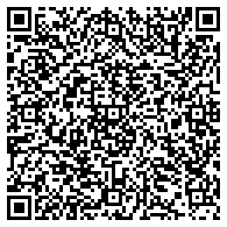 QR-код с контактной информацией организации Вачская РЭГС