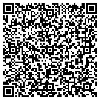 QR-код с контактной информацией организации Ромашка, магазин продуктов