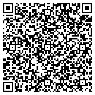 QR-код с контактной информацией организации Дошкольный портал города Перми