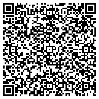 QR-код с контактной информацией организации ВИСМИ