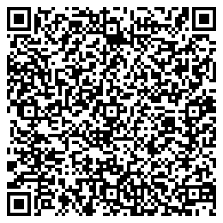 QR-код с контактной информацией организации ВИСМИ