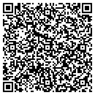 QR-код с контактной информацией организации Кино в Перми