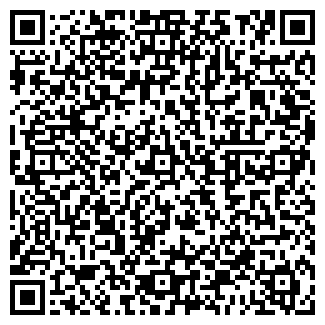 QR-код с контактной информацией организации Кафе на Думской