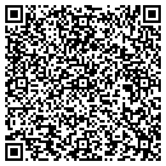 QR-код с контактной информацией организации ПАО Вымпелком Билайн