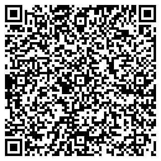 QR-код с контактной информацией организации ОАО ВымпелКом Билайн