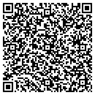 QR-код с контактной информацией организации ООО Феникс, кафе