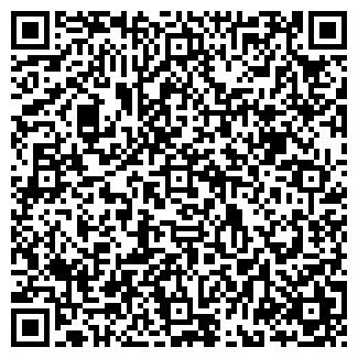 QR-код с контактной информацией организации Мир Трейд