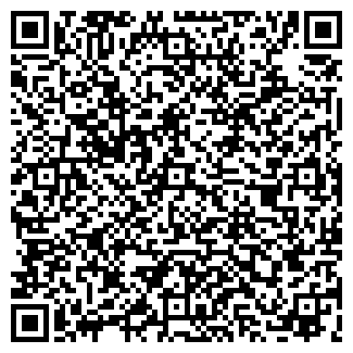 QR-код с контактной информацией организации ИП Лысов С.Н.