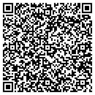 QR-код с контактной информацией организации Метелица, магазин продуктов