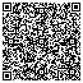 QR-код с контактной информацией организации АЗС, ООО Нефтика