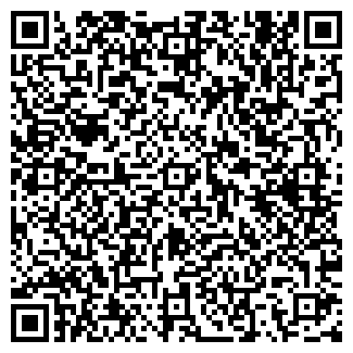 QR-код с контактной информацией организации ИП Елсуков А.М.