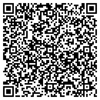 QR-код с контактной информацией организации АЗС, ООО Нефтика