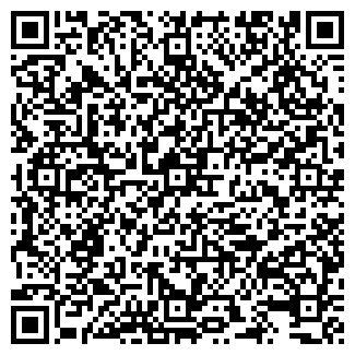 QR-код с контактной информацией организации Алтай, магазин продуктов