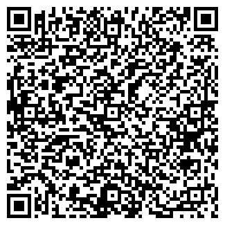 QR-код с контактной информацией организации 1gs.ru