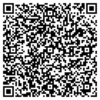 QR-код с контактной информацией организации ИП Салыков К.К.