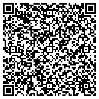 QR-код с контактной информацией организации ИП Мамаев О.М.
