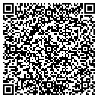 QR-код с контактной информацией организации Blasercafe Suisse