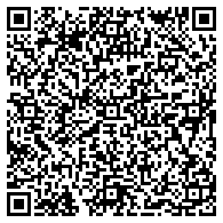 QR-код с контактной информацией организации ИП Силина С.Ю.