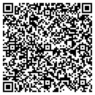 QR-код с контактной информацией организации Решение+