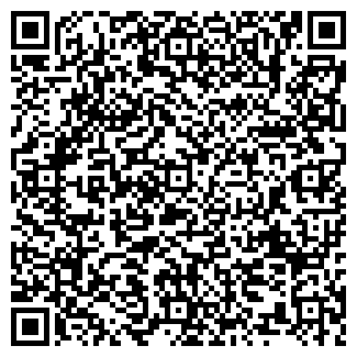 QR-код с контактной информацией организации ИП Диланян К.С.