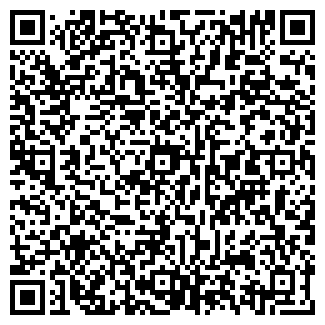 QR-код с контактной информацией организации КАРУСЕЛЬ