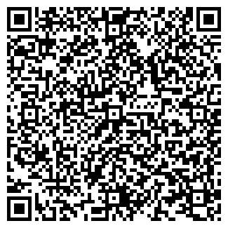 QR-код с контактной информацией организации ИП Рзаев Э.А.